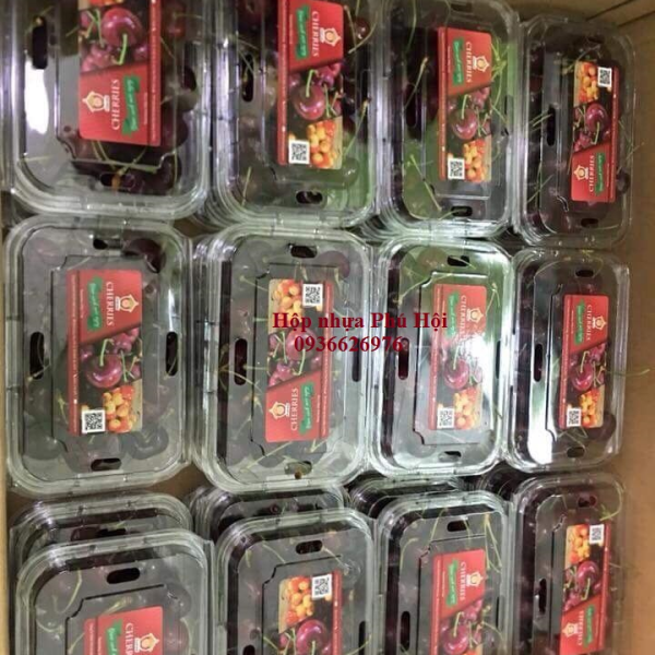 HỘP NHỰA ĐỰNG TRÁI CÂY P350A